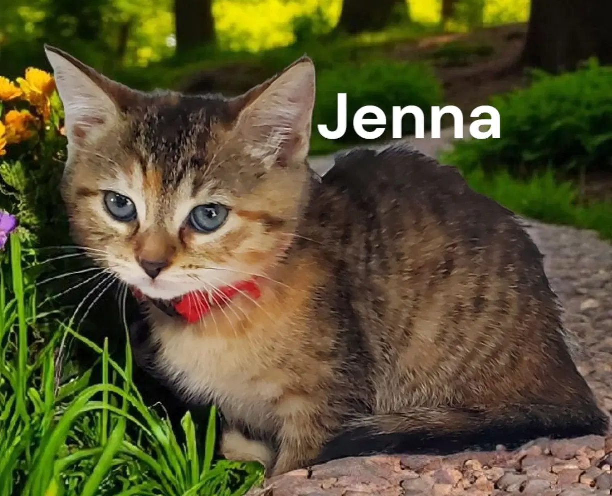 Jenna image 2