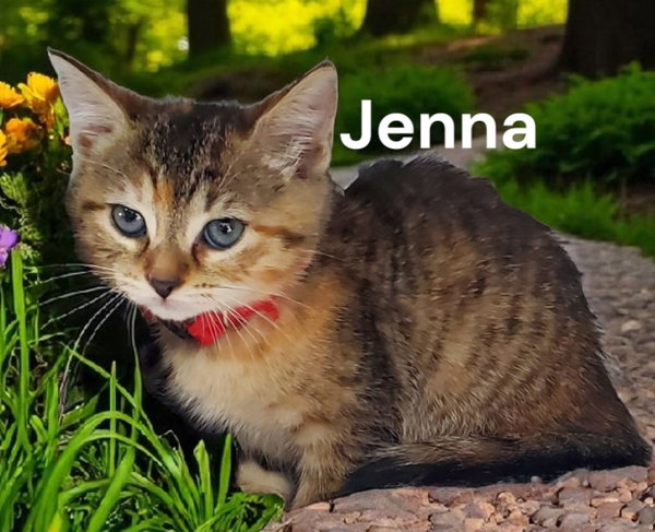 Jenna