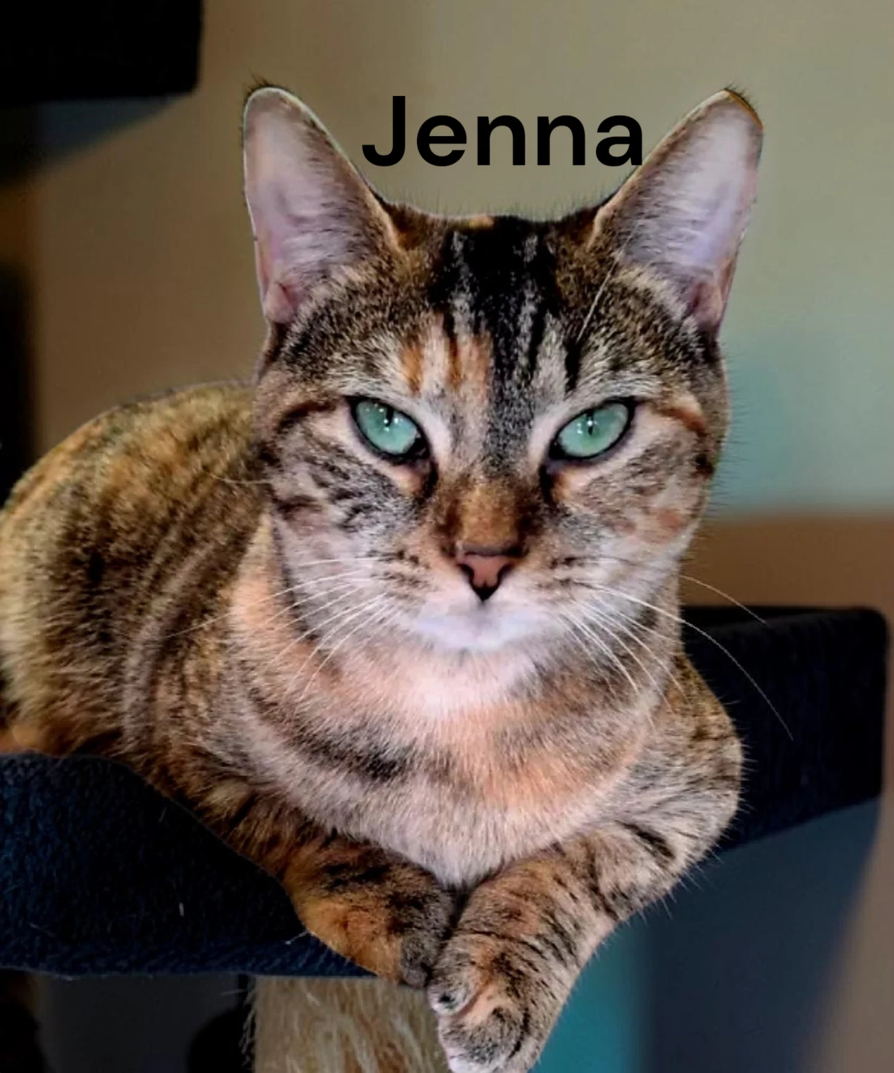 Jenna