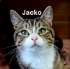 Jacko