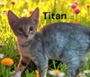 Titan