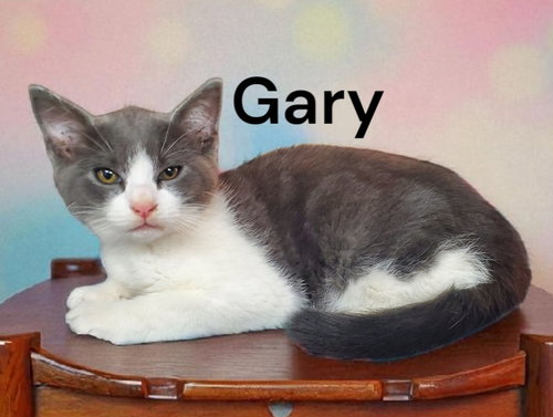 Gary