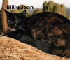 Billie Jean