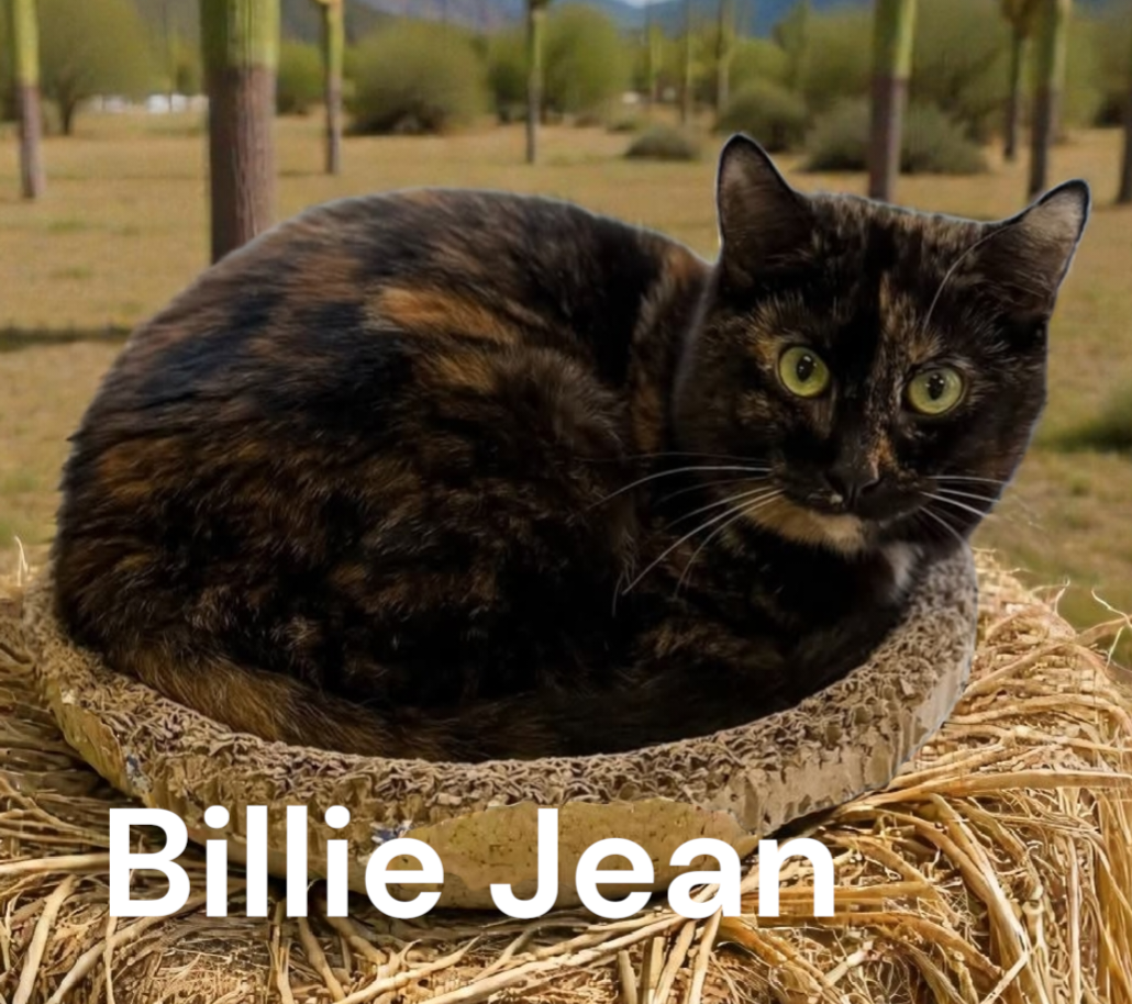Billie Jean