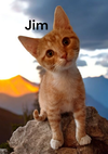 Jim