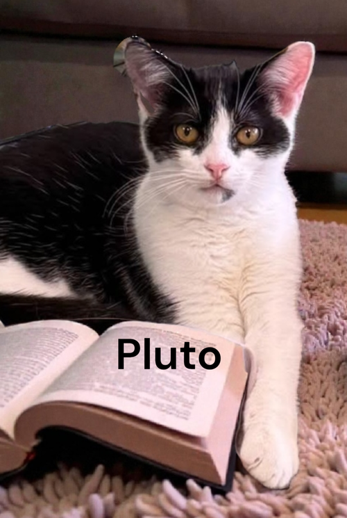 Pluto
