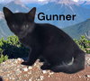 Gunner