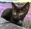 Kylie