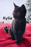 Kylie