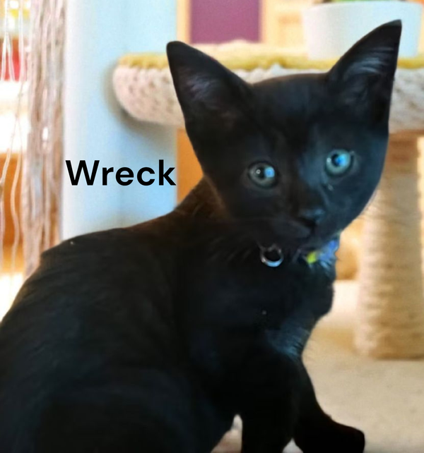 Batman aka Wreck
