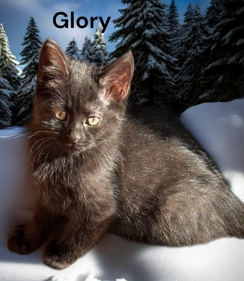 Glory