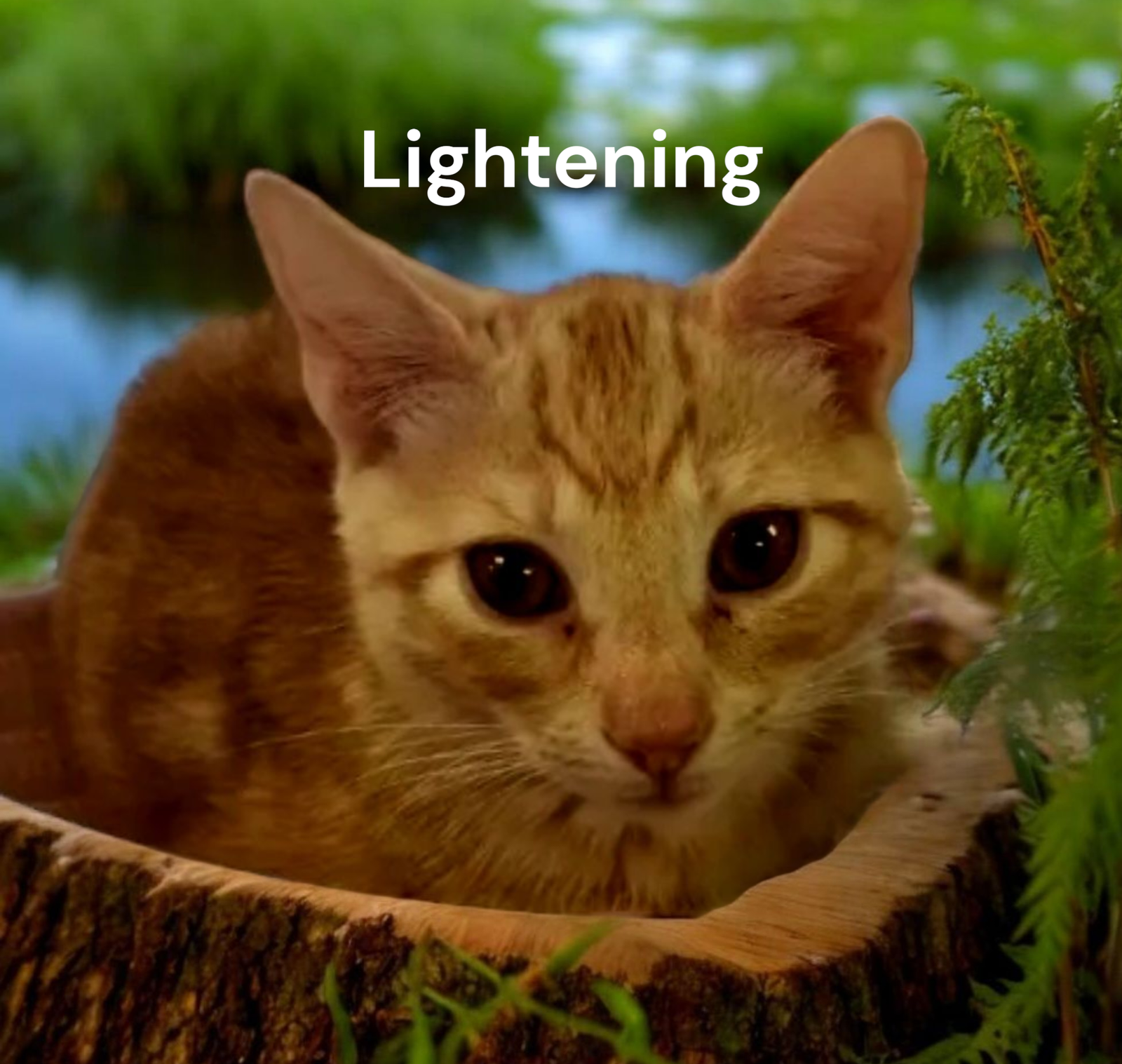 Lightening Image
