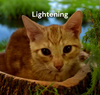 Lightening