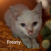 Frosty