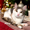 Alina
