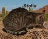 Stella