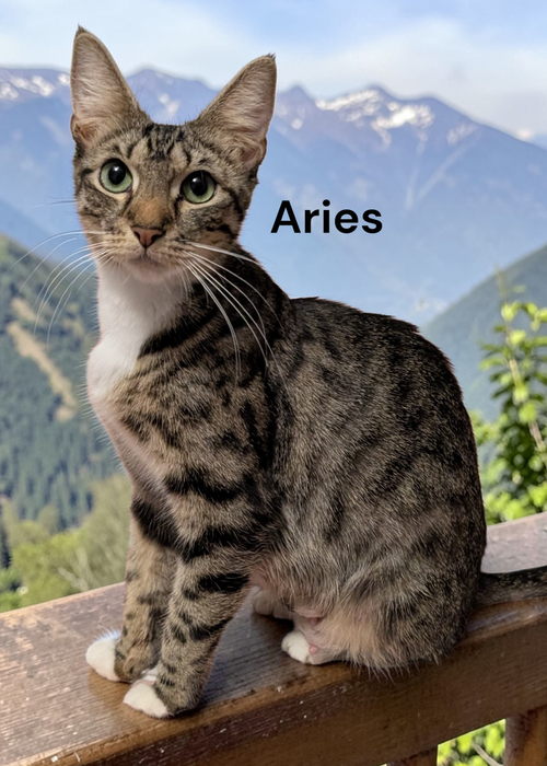 Aries