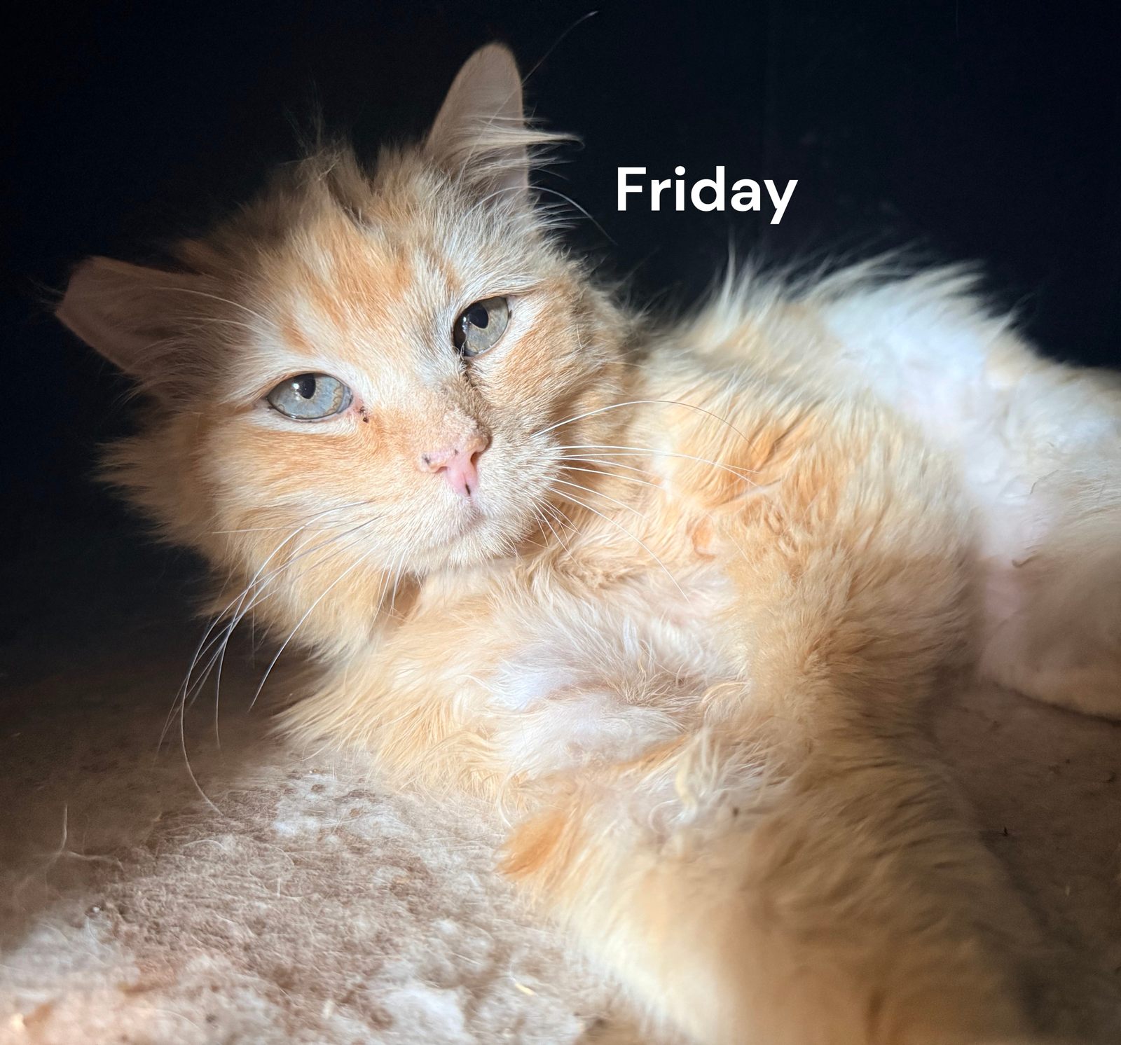 Friday