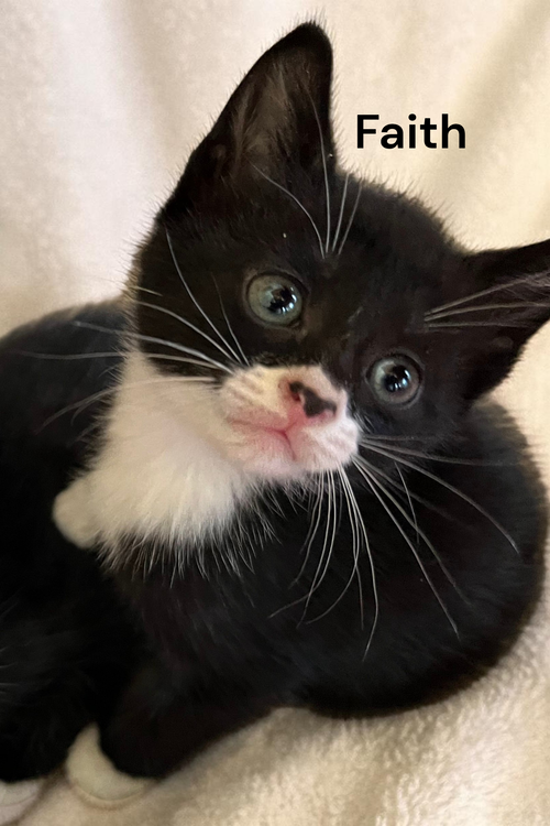 Faith