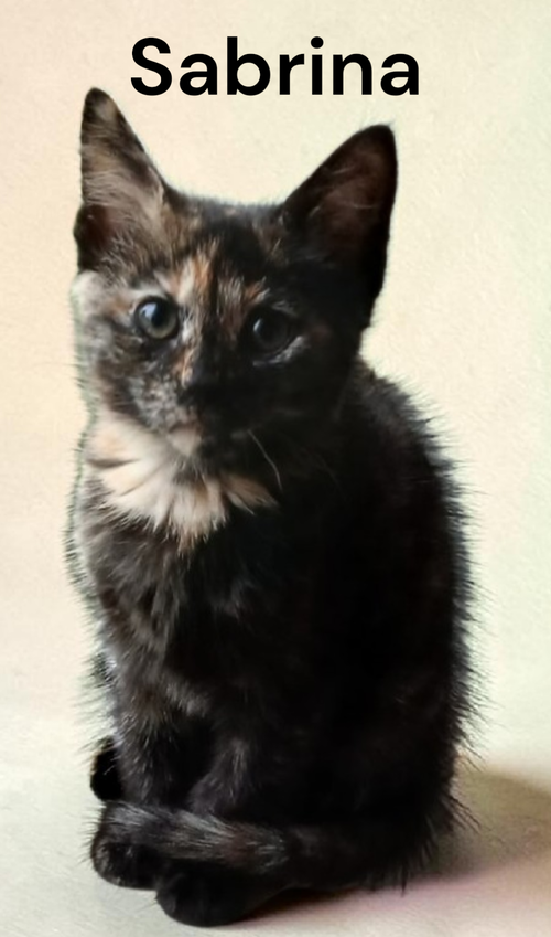 Sabrina