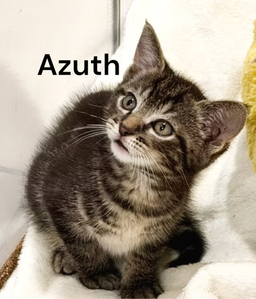 Azuth