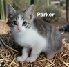 Parker
