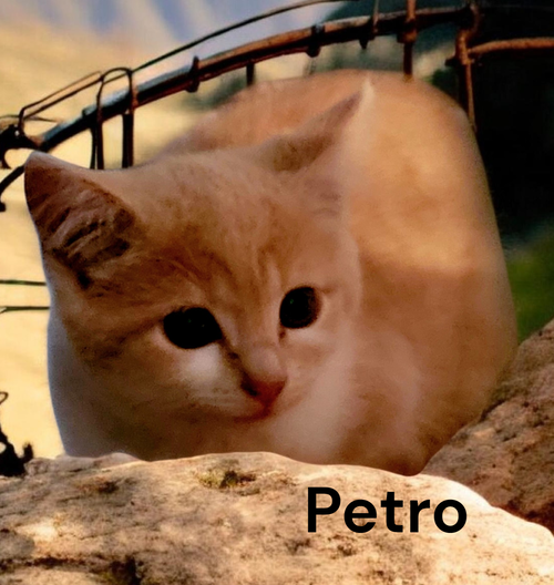 Petro