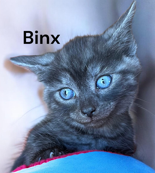 Binx