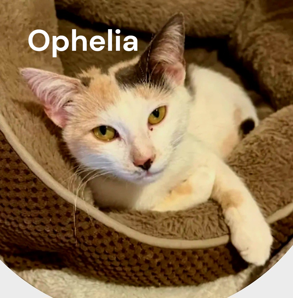 Ophelia