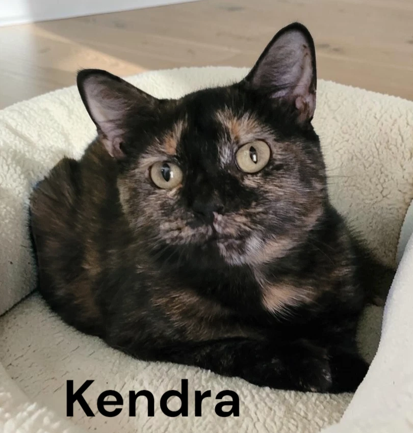 Kendra