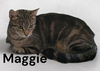 Maggie