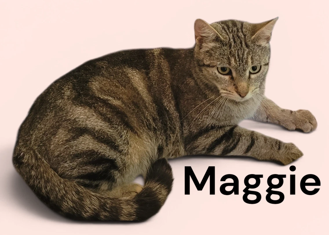 Maggie