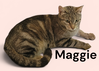 Maggie