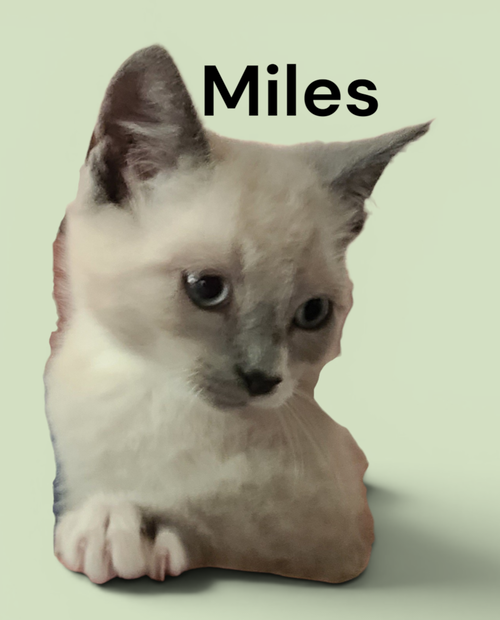 Miles