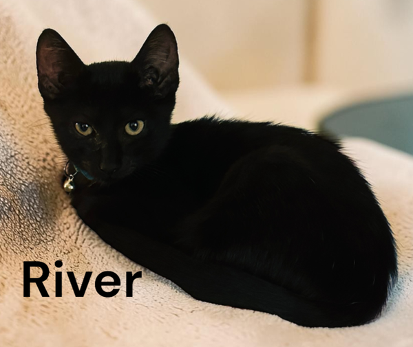 River
