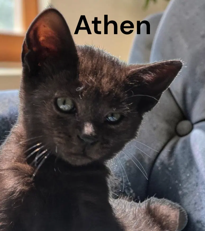 Athen image 2