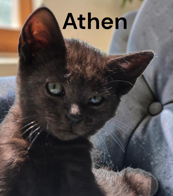 Athen