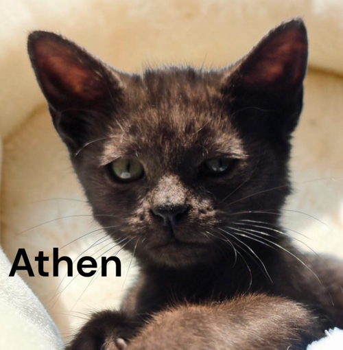 Athen