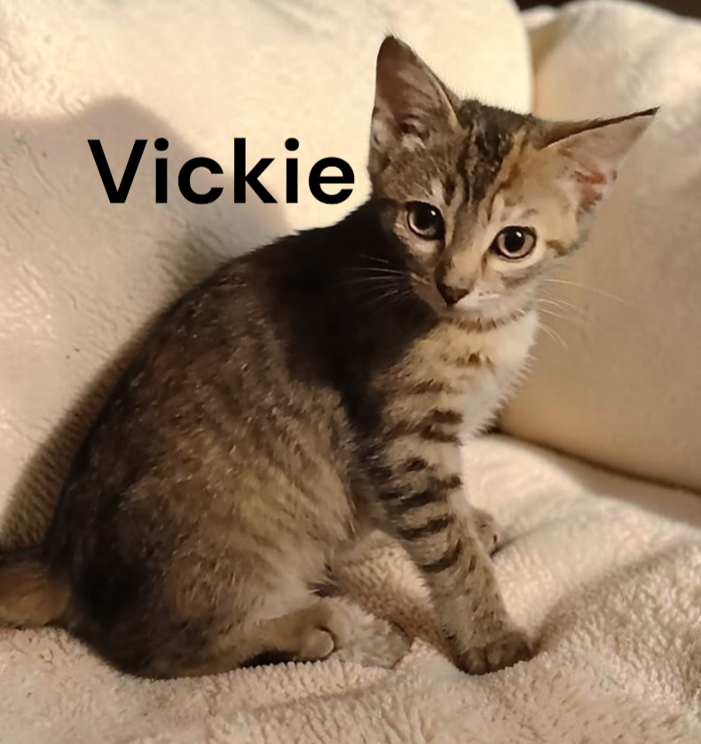 Vickie, photo 2