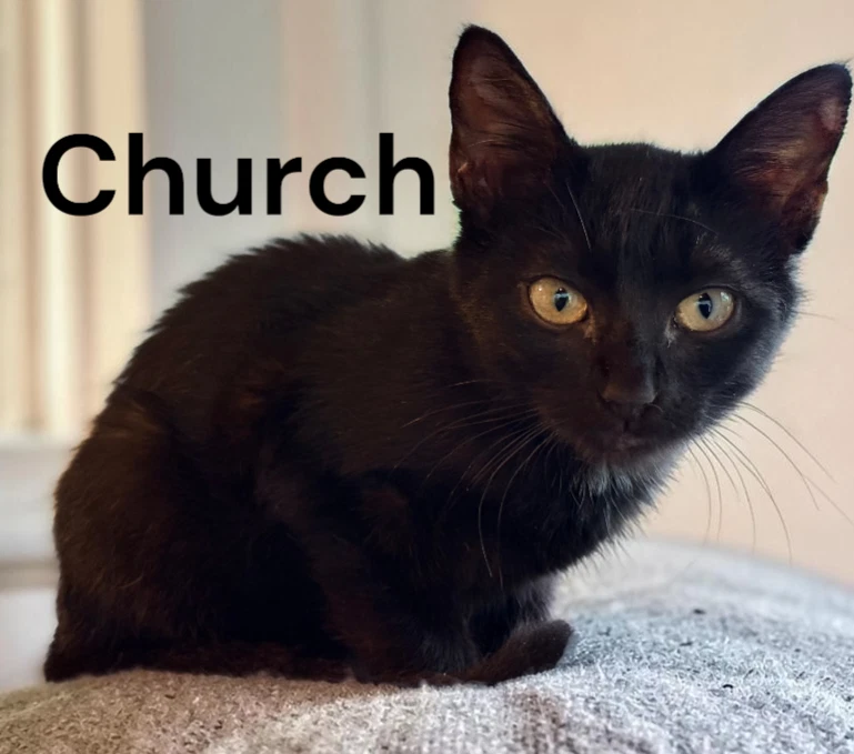 Church