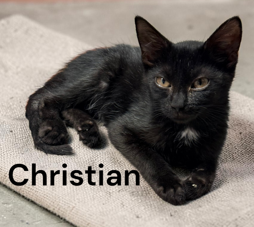 Christian