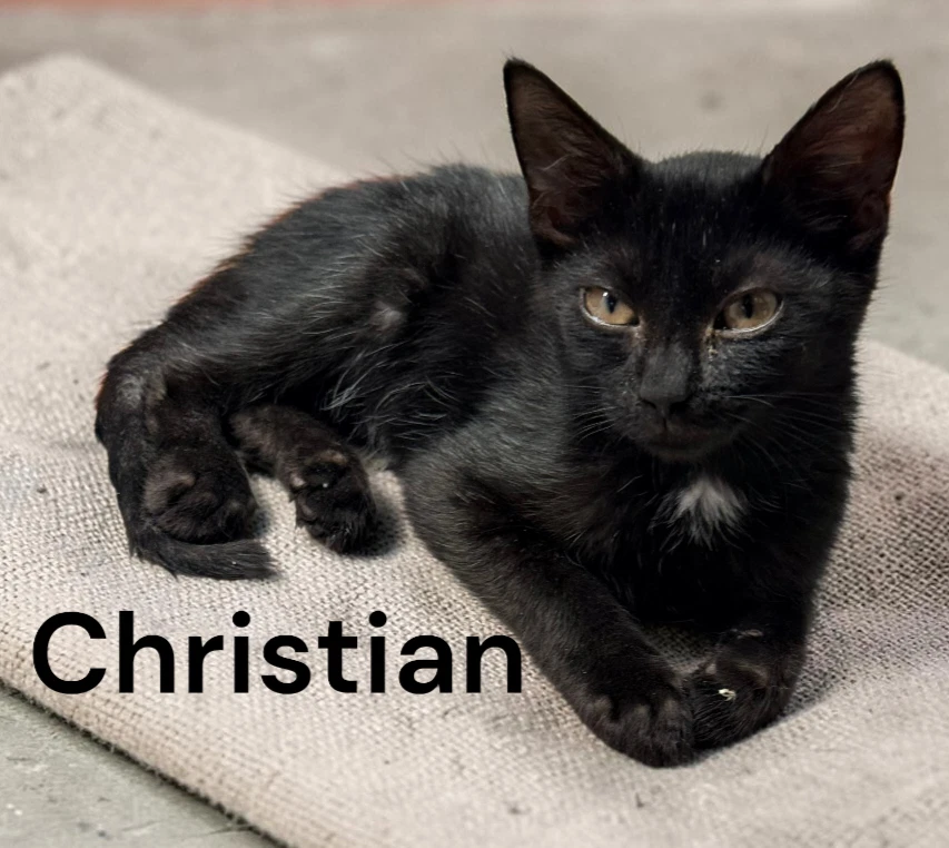 Christian