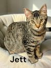 Jett