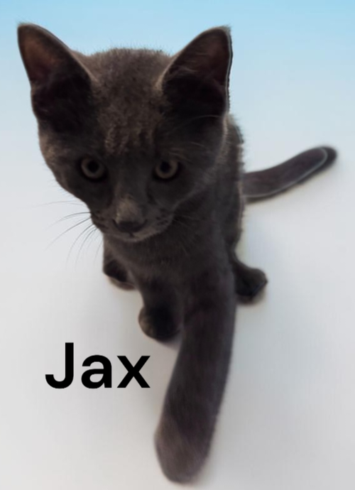 Jax
