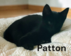 Patton