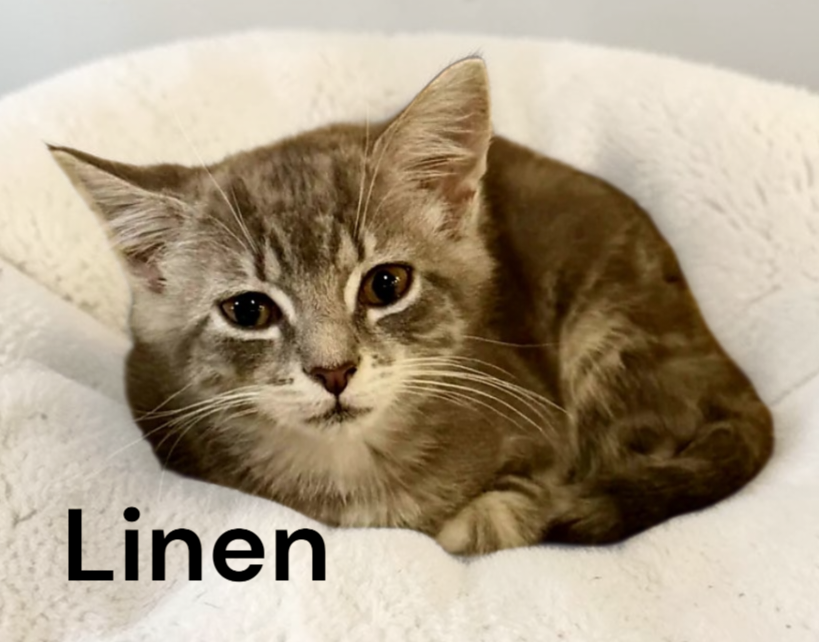 Linen