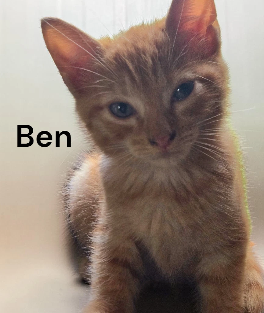 Ben