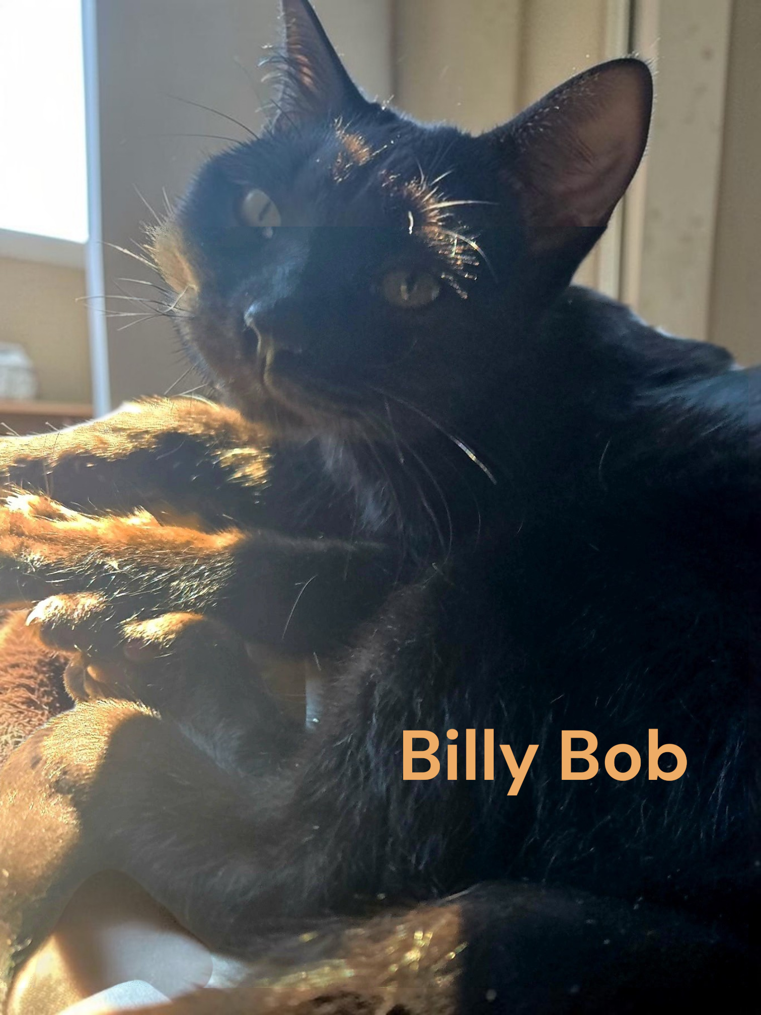 Billy Bob