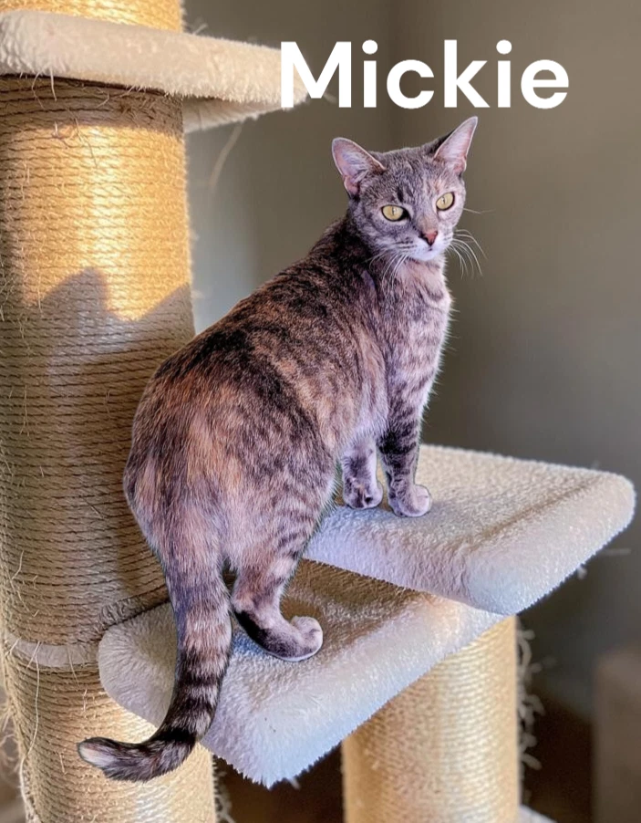 Mickie