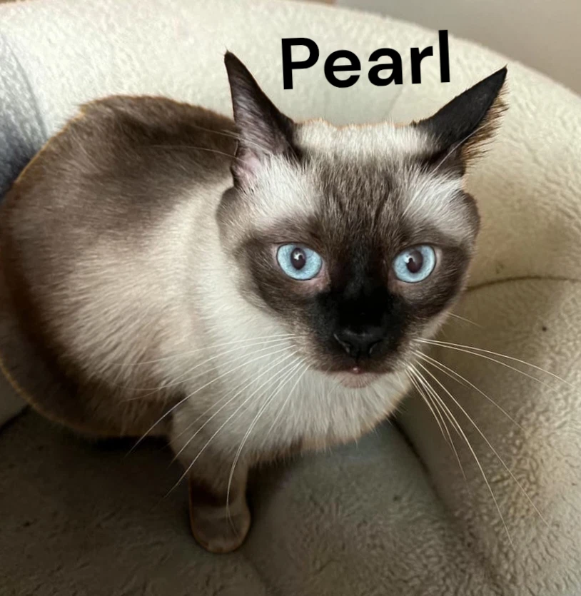 Pearl